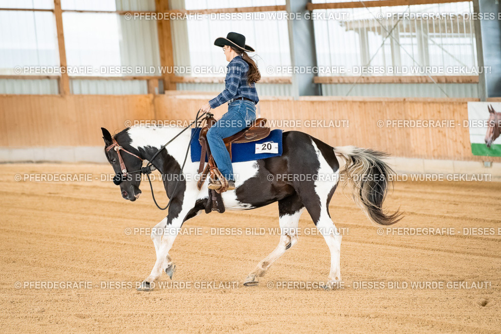 DSC02673 | Pferdegrafie