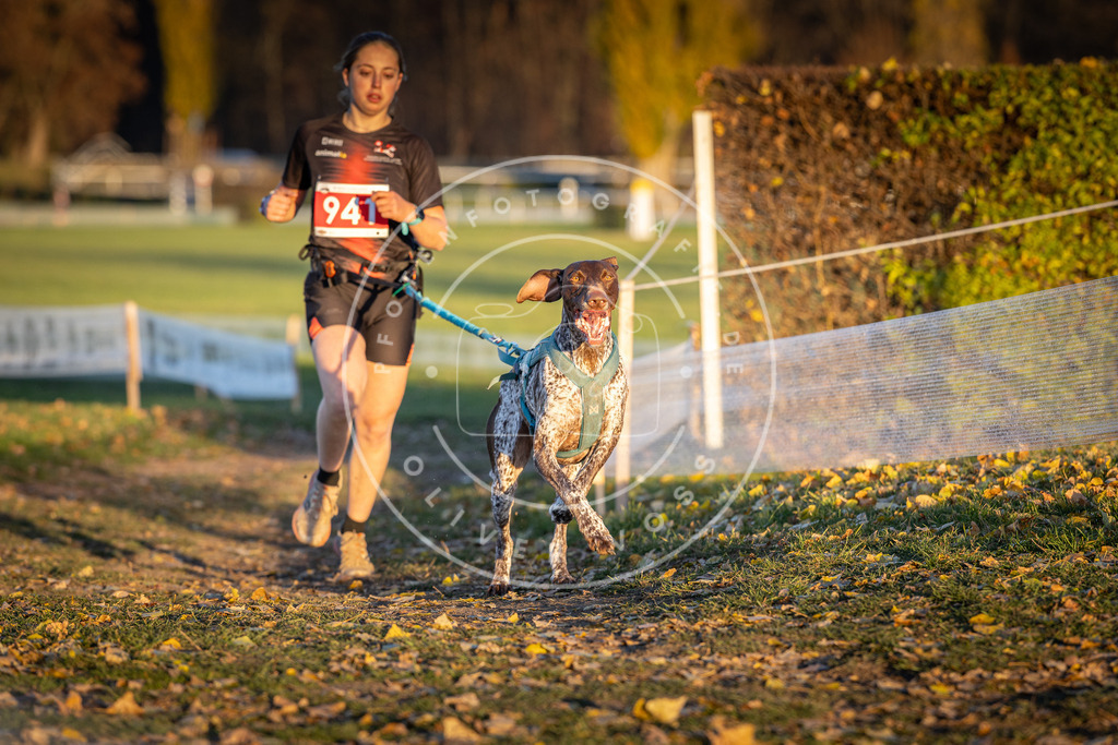 CaniXpix_DV3A5400 | Hundefotografie, Tierfotograf, Pfotenfotografie, Fotoshooting Hund, Hunde Portrait, Hundesport, Hundeportraits, Heideshooting, Hunde, Sportfotograf, Hundefotograf, Turnierhundsport, THS,  - Realisiert mit Pictrs.com