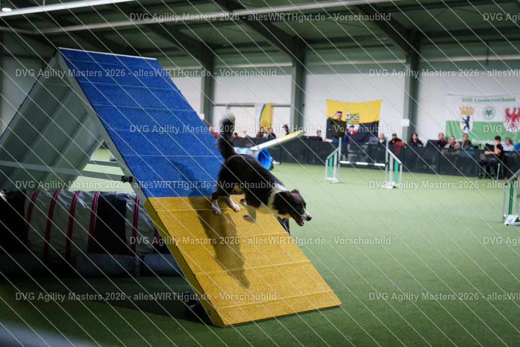 allesWIRTHgut_Tierfotografie-DVG_Agility_Masters_2026-15_38-7R506654 | Professionelle Tierfotografie in Mönchengladbach von Daniel Wirth (allesWIRTHgut). Liebevolle & natürliche Bilder von Hunden & Katzen für unvergessliche Erinnerungen.