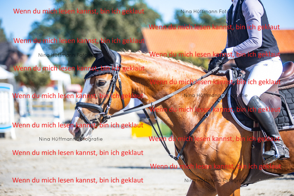 BK1A5762 | Turnierbilder Turnierfotos Nina Hüffmann Turnierfotografie Pferdefotografie Tierzeichnung Haustierzeichnung Pferdezeichnung Hundezeichnung Videograf  - Realisiert mit Pictrs.com