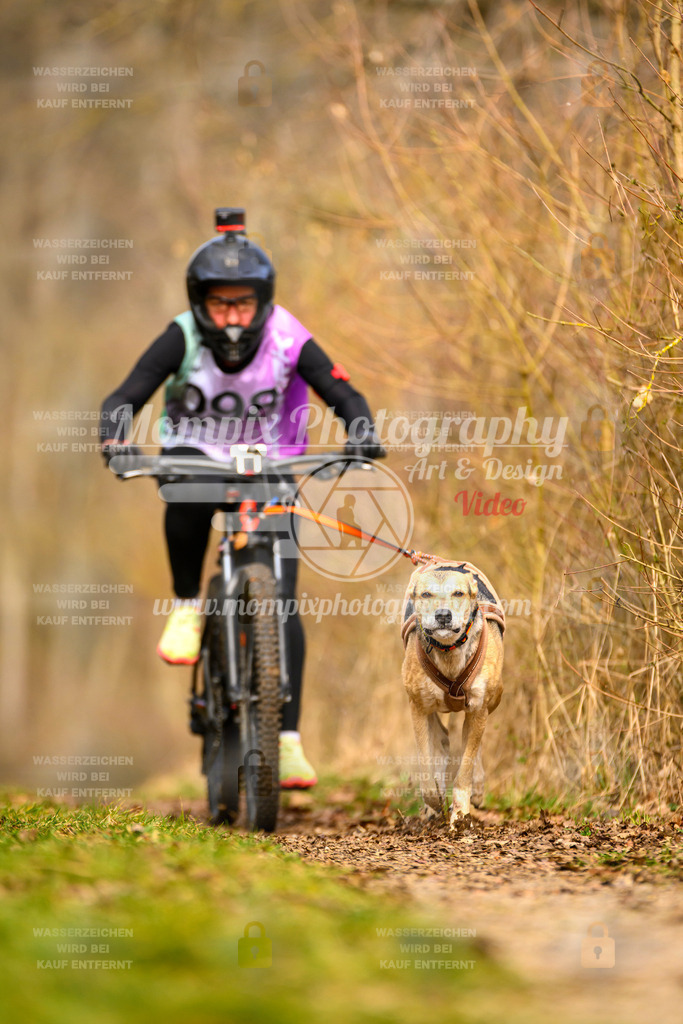 MompixPhotography_Schwabentrail2024_Bike-45 | PayLife