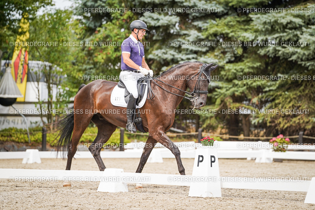 DSC06184 | Pferdegrafie