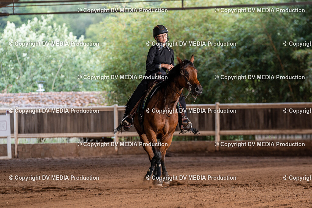 Erbach Tag 2-959 | dv-media-shop - Realisiert mit Pictrs.com