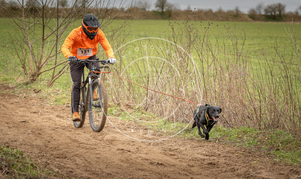 DV3A1635 | Hundefotografie, Tierfotograf, Pfotenfotografie, Fotoshooting Hund, Hunde Portrait, Hundesport, Hundeportraits, Heideshooting, Hunde, Sportfotograf, Hundefotograf, Turnierhundsport, THS,  - Realisiert mit Pictrs.com
