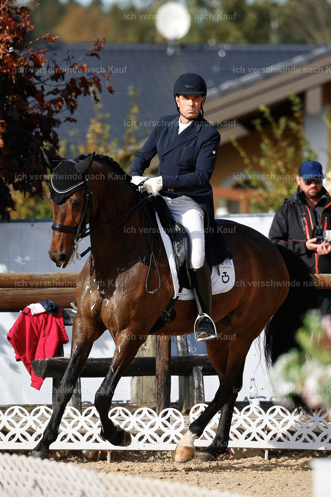 13-226-S___ -StoibPH-6921 | working equitationturnier fotograf videograf stoibphotography marixx film working equitation deutschland reitsport turnierfotografie eventfotografie equestrian events