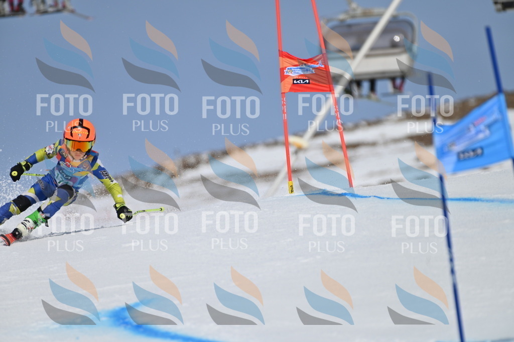 BGV_3370 | holidayphoto