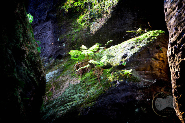 _DSC8200 | Shop für Prints Landschaftsfotografie Sächsische Schweiz Naturfotografie in Thüringen Fotos vom Findlingspark Nochten Kloster Sankt Marienstern Bilder Festung Königstein PanoramaRhododendronpark Kromlau FotogalerSchleswig-Holstein Küstenlandschaften