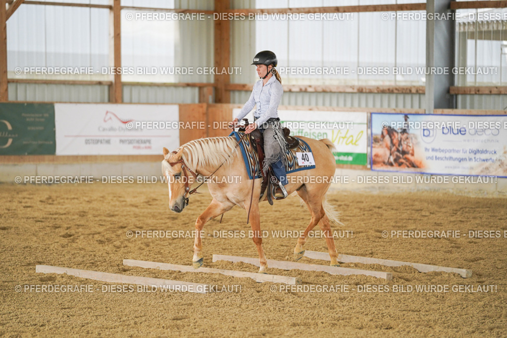 DSC03538 | Pferdegrafie