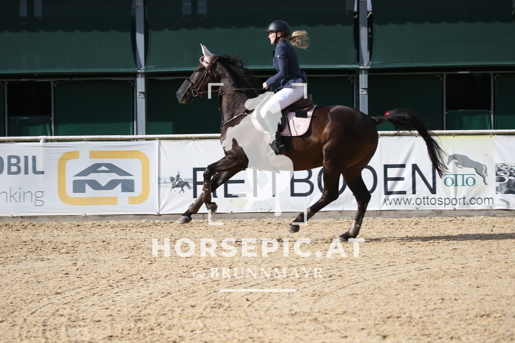 DL2Q3693 | Willkommen bei Brunnmayr - Design & Fotografie – Ihrem Spezialisten für Reitturniere und Pferdeveranstaltungen in Oberösterreich, Salzburg und Bayern! Seit über 17 Jahren sind wir leidenschaftlich dabei.