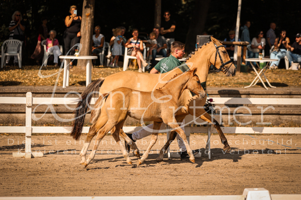 10.DoRP00253 | Leoni Ertmer Photography - Realisiert mit Pictrs.com