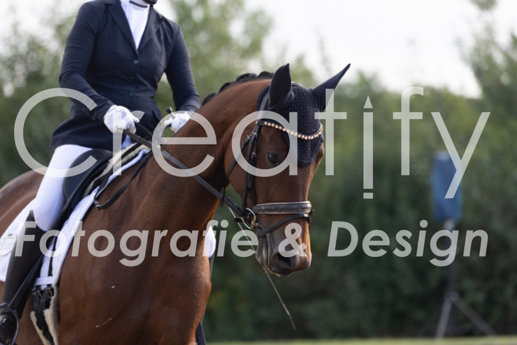 IMG_9990 | Creatify Fotografie