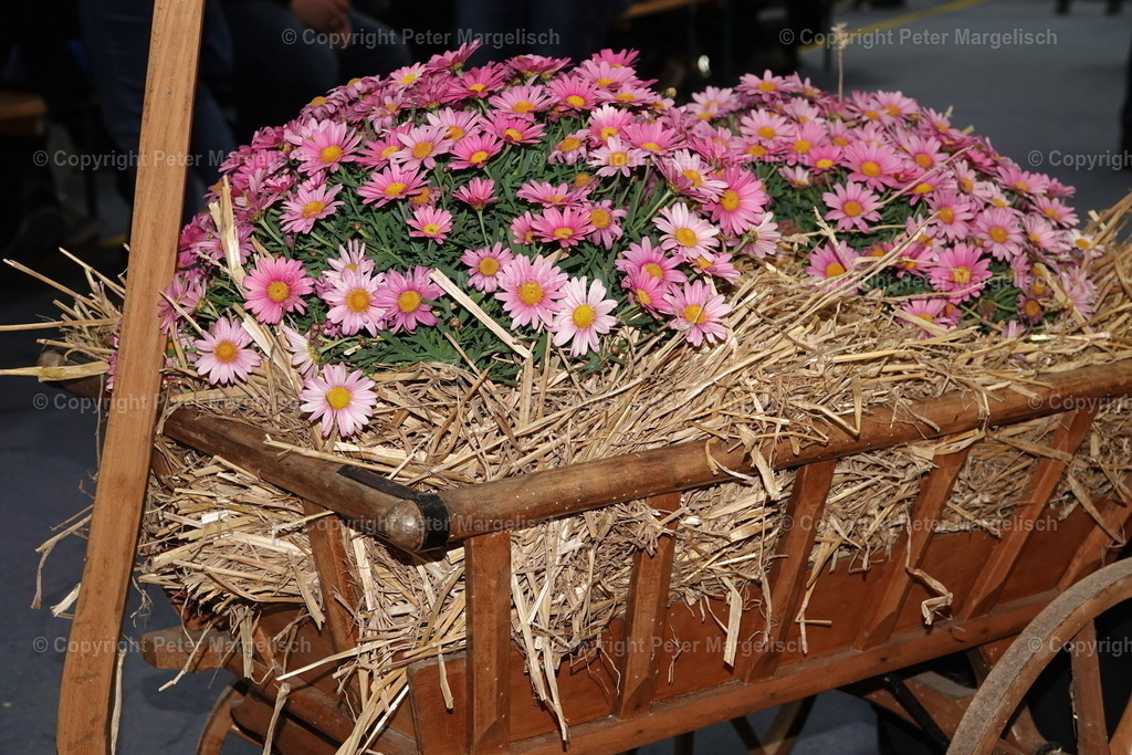 DSC03459 | Schwingen - Realisiert mit Pictrs.com