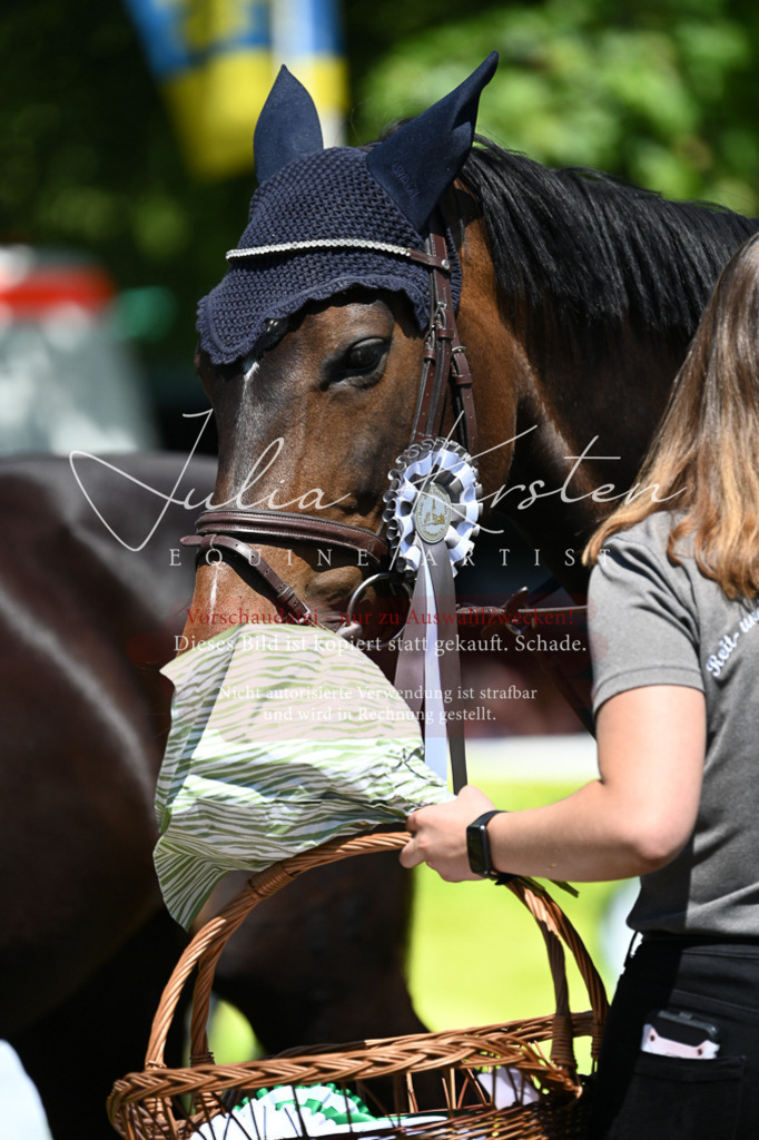 DSC_0877 | Pferde- und Turnierfotografie in Westsachsen. Pferdeportraits, Auftragszeichnungen und intuitive Kunst.