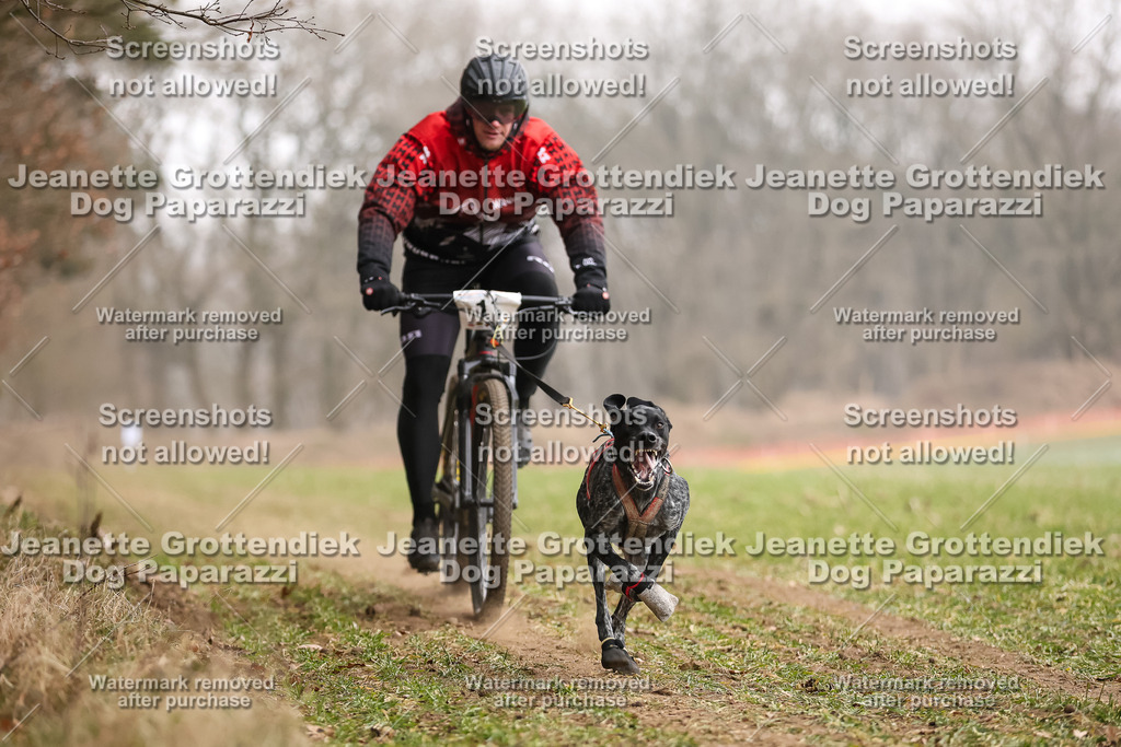 Dog Paparazzi - Plate 2026-43 | Dog Paparazzi Jeanette Grottendiek Fotografie & Videografie - Realisiert mit Pictrs.com