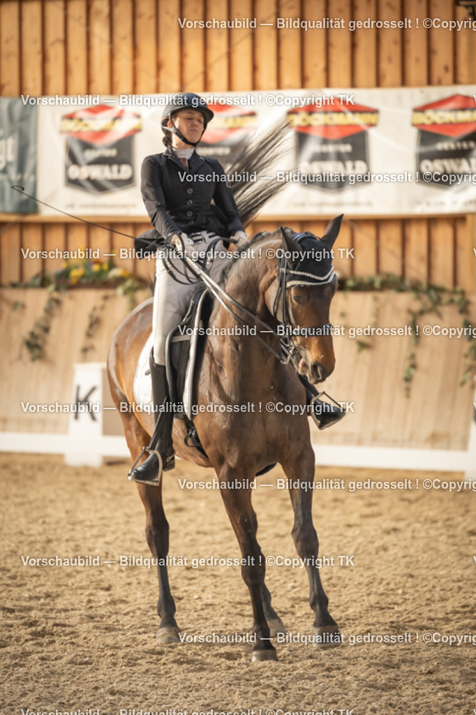 _D5A3419 | Emotionale Pferde- & People-Fotografie rund um Heidelberg, Leimen & Umgebung. Natürliche Fotos von Pferd, Mensch & Familie. Jetzt Termin sichern!