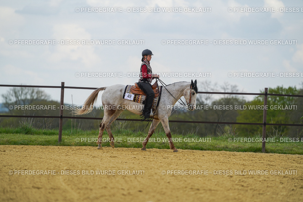 DSC06612 | Pferdegrafie