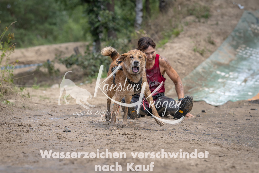 1250_ZZ94235 | kk-dogfotos
