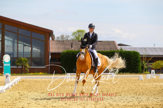 DKP40899 | Turniersportfotografie; Pferdefotografie; Dressurfotografie