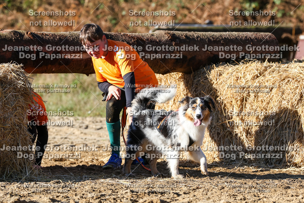 Dog Paparazzi - Strongdog 10-25-2041 | Dog Paparazzi Jeanette Grottendiek Fotografie & Videografie - Realisiert mit Pictrs.com