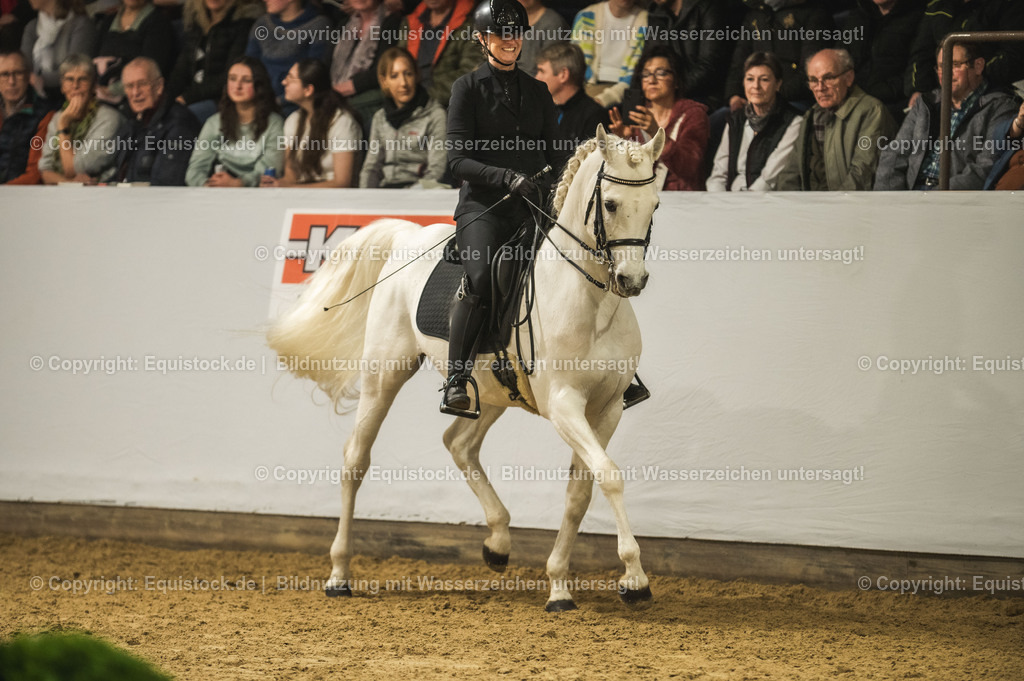 20240302_Hengstvorstellung_Marbach_TOMsPiC_1080 | equistock