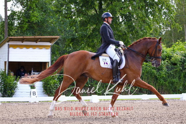 DKP41317 | Turnierfotos kaufen im Webshop von Daniel Kuhl Photography – entdecke professionelle Reitsportfotos aus Turnieren & Events. Hochwertige Turnierbilder online bestellen & sichern. Jetzt Fotos von Reitsportturnieren kaufen!
