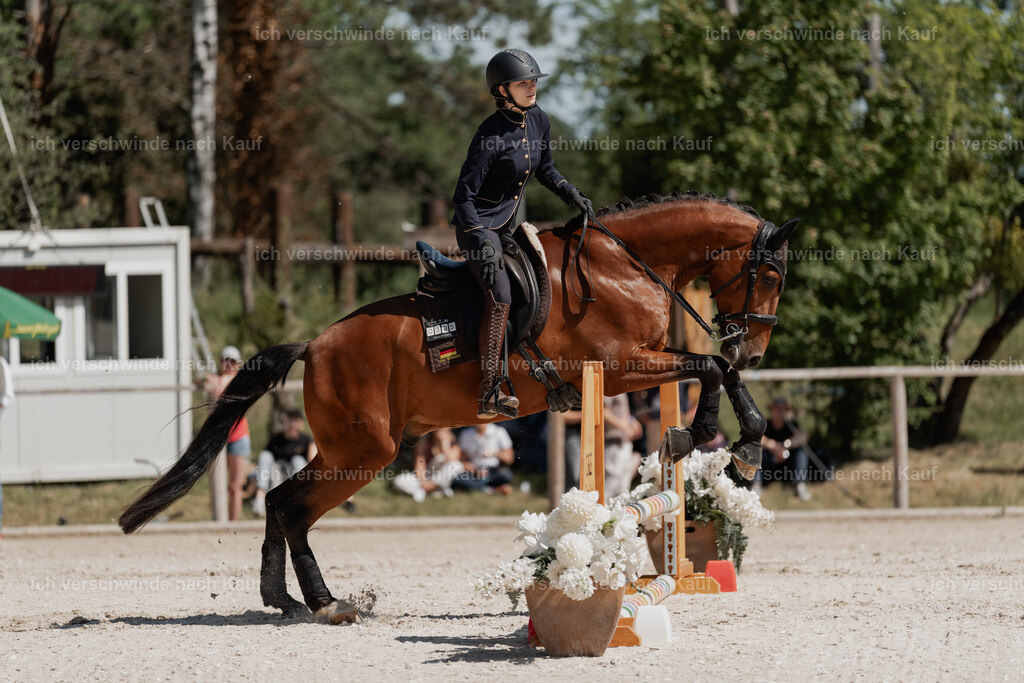 _DSC5433 | Pferd International München 2025