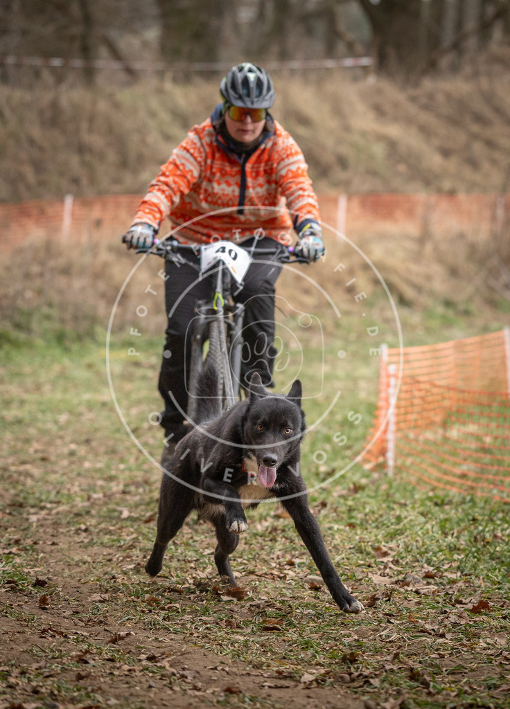 Pfotenfotografie_DV3A0110 | Hundefotografie, Tierfotograf, Pfotenfotografie, Fotoshooting Hund, Hunde Portrait, Hundesport, Hundeportraits, Heideshooting, Hunde, Sportfotograf, Hundefotograf, Turnierhundsport, THS,  - Realisiert mit Pictrs.com