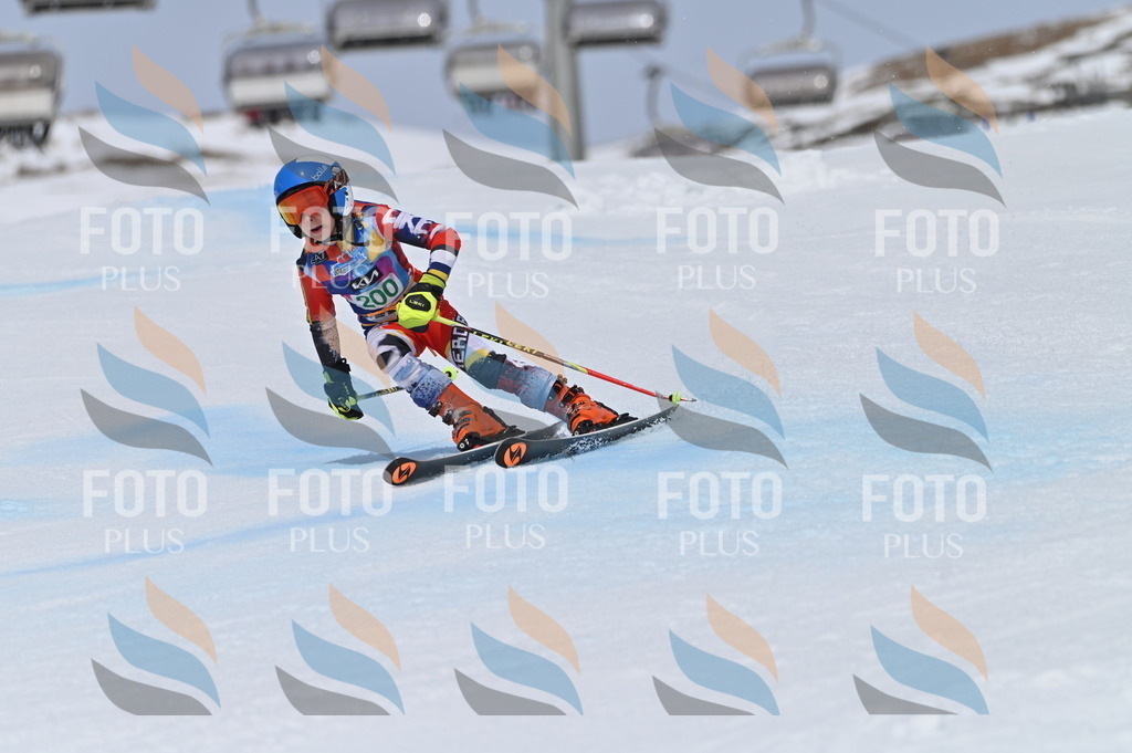 BGV_3854 | holidayphoto