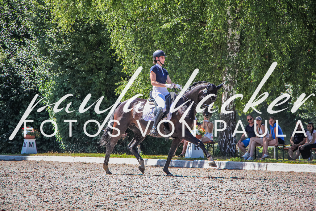 IMG_1554 | Erleben Sie dynamische Sport- und emotionale Tierfotografie in Süddeutschland mit Fotos von Paula. Spezialisiert auf Pferde- und Hundefotografie sowie Sportevents. Kontaktieren Sie mich für einzigartige und ausdrucksstarke Bilder Ihrer besonderen Momente. - Realisiert mit Pictrs.com