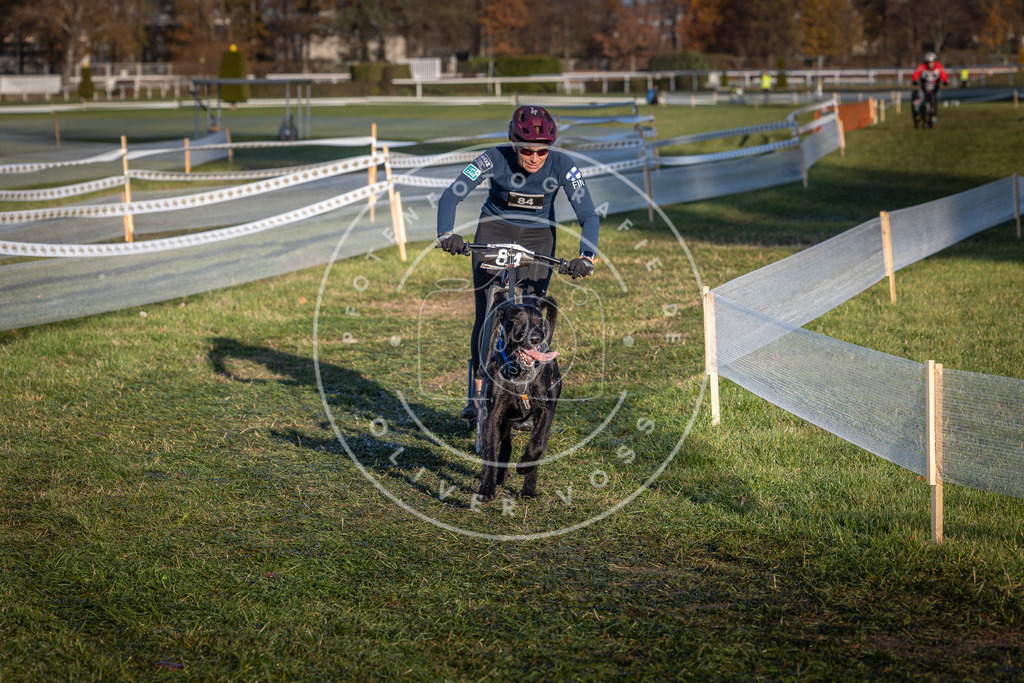 CaniXpix_0L8A3765 | Hundefotografie, Tierfotograf, Pfotenfotografie, Fotoshooting Hund, Hunde Portrait, Hundesport, Hundeportraits, Heideshooting, Hunde, Sportfotograf, Hundefotograf, Turnierhundsport, THS,  - Realisiert mit Pictrs.com