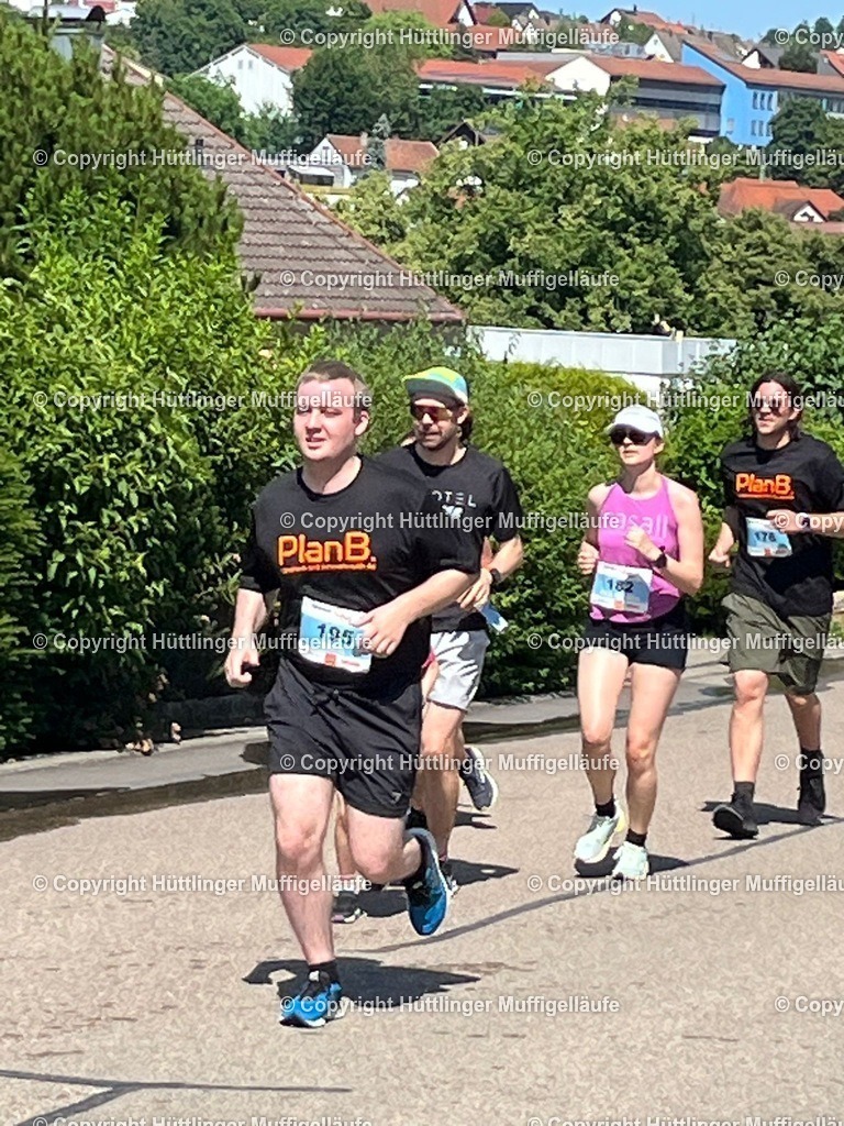 8beb37ea-240d-4f1a-b458-ae04ef8d7daa | Hüttlinger Muffigelläufe - Realisiert mit Pictrs.com