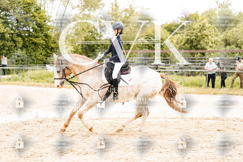 CK904386 | Turnierfotografie Pferdefotografie Trier Rheinland-Pfalz Pferdesport Reitsport Tierfotografie Sportfotografie Pferdevideo Pferdevideografie Equestrianvideography equestrianphotography  - Realisiert mit Pictrs.com