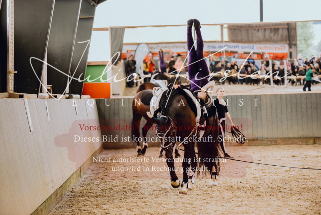 DSC_6881 | Pferde- und Turnierfotografie in Westsachsen. Pferdeportraits, Auftragszeichnungen und intuitive Kunst.