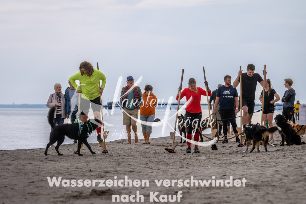 1212_ZZ90274 | kk-dogfotos