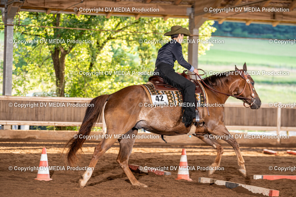 Erbach Tag 2-07 | dv-media-shop - Realisiert mit Pictrs.com