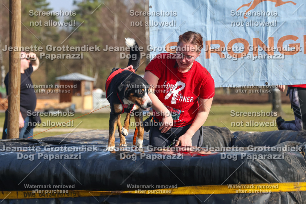 Dog Paparazzi - Strongdog North Mrz26-2563 | Dog Paparazzi Jeanette Grottendiek Fotografie & Videografie - Realisiert mit Pictrs.com