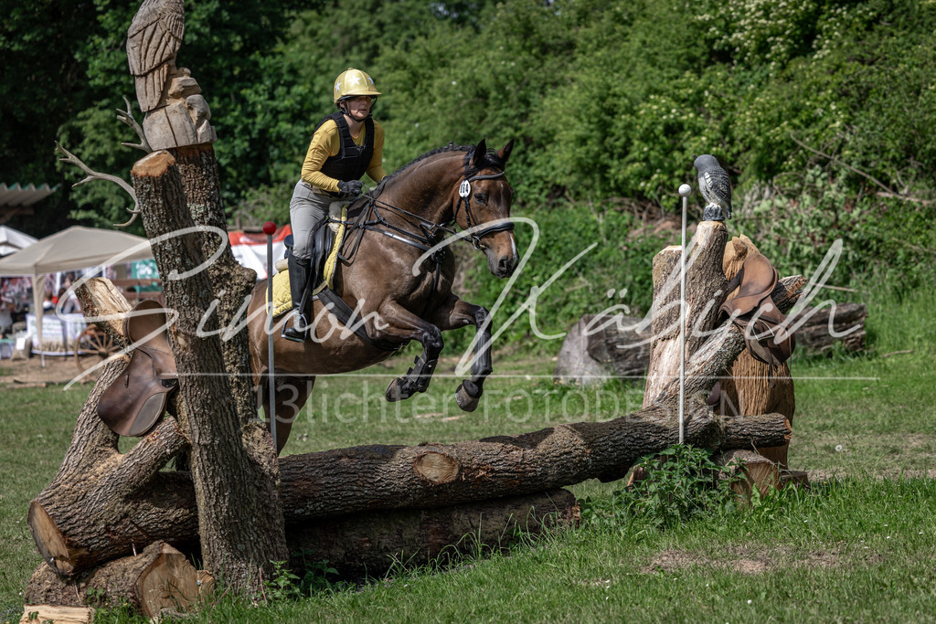 20260523-_3LI9152 | Tierfotografie Pferde, Hunde, Katzen, Haustiere.
Turnierfotografie Reitturniere, Reiten, Springreiten, Dressur in Hanau, dem Main-Kinzig-Kreis und dem Rhein-Main- Gebiet um Frankfurt