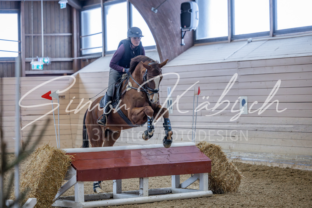 20260221-_3LI8659 | Tierfotografie Pferde, Hunde, Katzen, Haustiere.
Turnierfotografie Reitturniere, Reiten, Springreiten, Dressur in Hanau, dem Main-Kinzig-Kreis und dem Rhein-Main- Gebiet um Frankfurt