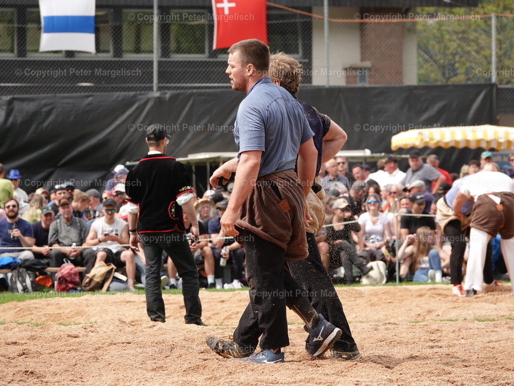 DSC07209 | Schwingen - Realisiert mit Pictrs.com