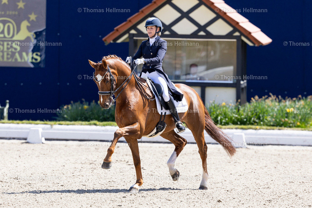 TH_383-HELGSTRAND Marianne (DEN)_ Valerio 42_36578 | Horses &amp; Dreams 2026 am 26.04.26 in Hagen a.T.W., Thomas Hellmann, 383HELGSTRAND Marianne (DEN), Valerio 42