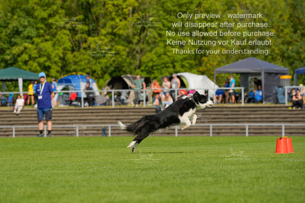 Samstag_CSC (79 von 2023) | stephaniefillaphotographie - Realisiert mit Pictrs.com