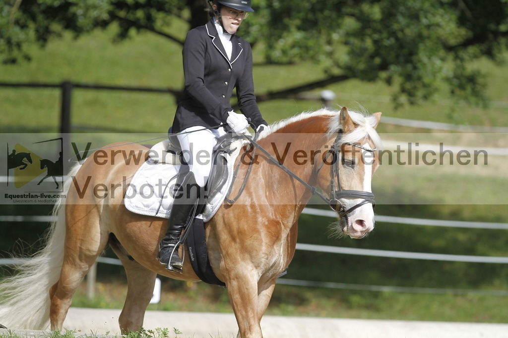 _MG_0352 | equestrian-live-com