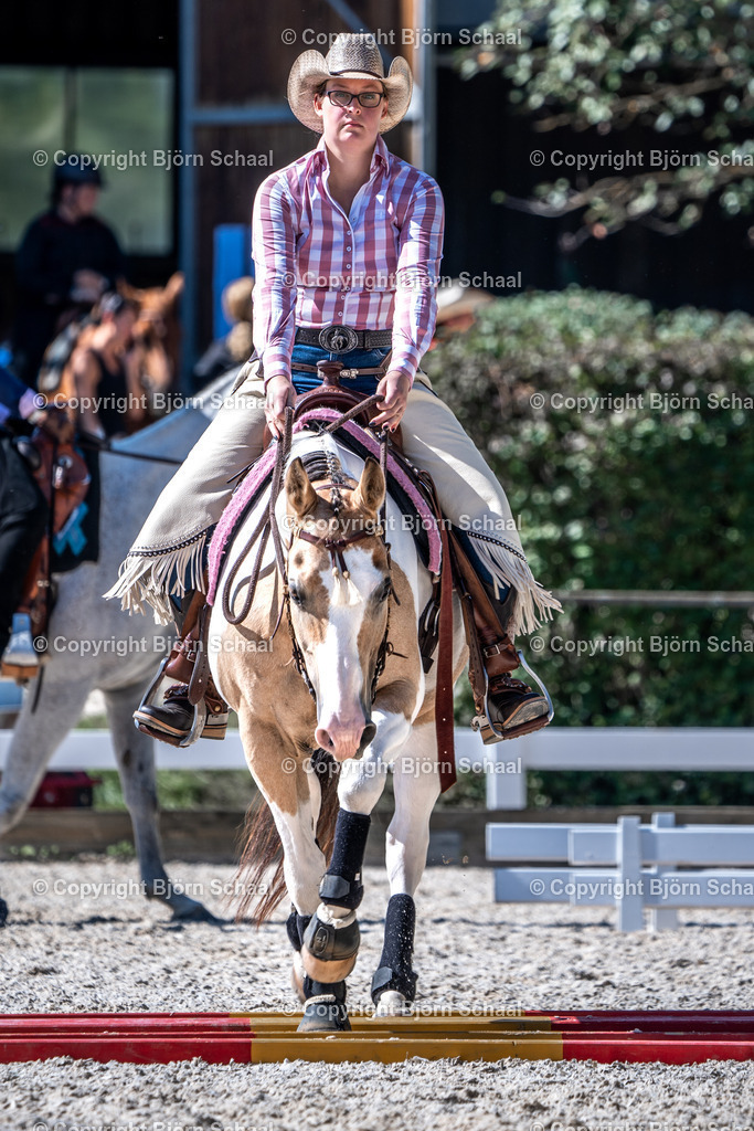 HOB08799 | BS-foto