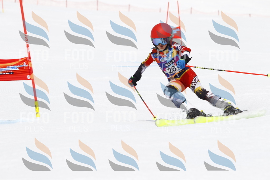 _U3G7197 | holidayphoto