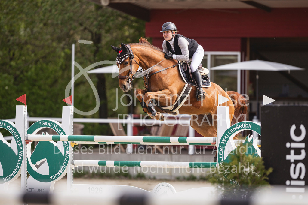 260503_Spenge_7_M2-Spr-m-steig-Anf-716 | Deine schönsten Turniermomente als professionelle Fotos! Entdecke hochwertige Pferdesport-Fotografie im Online-Shop. Jetzt Fotos finden & bestellen!
