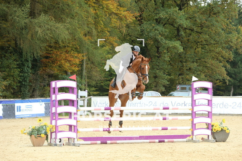 DL2Q6797 | Willkommen bei Brunnmayr - Design & Fotografie – Ihrem Spezialisten für Reitturniere und Pferdeveranstaltungen in Oberösterreich, Salzburg und Bayern! Seit über 17 Jahren sind wir leidenschaftlich dabei.