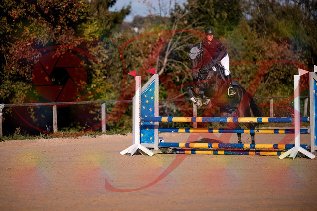 2026_10_03_Siefer-Hof_171914_Z81_17308670 | Professionelle Reitsport-, Turnier- und Eventfotografie von Robert Broda. Galerien mit ausgewählten und bearbeiteten Bildern direkt online ansehen und bestellen.