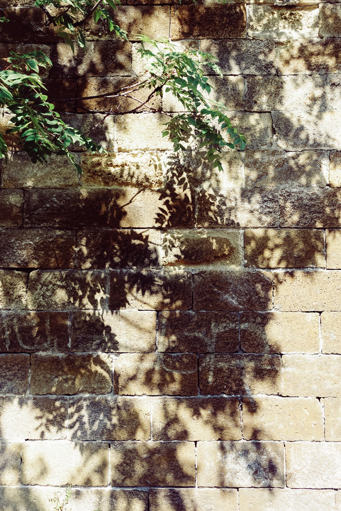 DSC00755 | AHORN PHOTOGRAPHY - Realisiert mit Pictrs.com