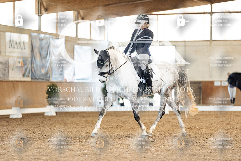 CK909683 | Turnierfotografie Pferdefotografie Trier Rheinland-Pfalz Pferdesport Reitsport Tierfotografie Sportfotografie Pferdevideo Pferdevideografie Equestrianvideography equestrianphotography  - Realisiert mit Pictrs.com