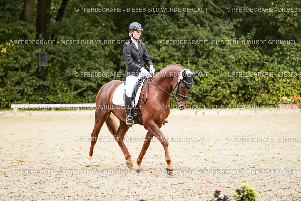 DSC00489 | Pferdegrafie